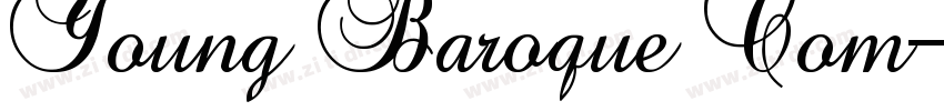 Young Baroque Com字体转换